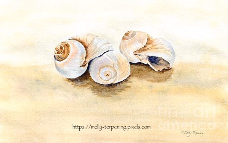 New artwork for sale! -'Sea Shells' - fineartamerica.com/featured/sea-s…
#watercolor #watercolorpainting #beachhousedecor #seashell #artlovers #artcollector #painting #watercolour #realismpainting