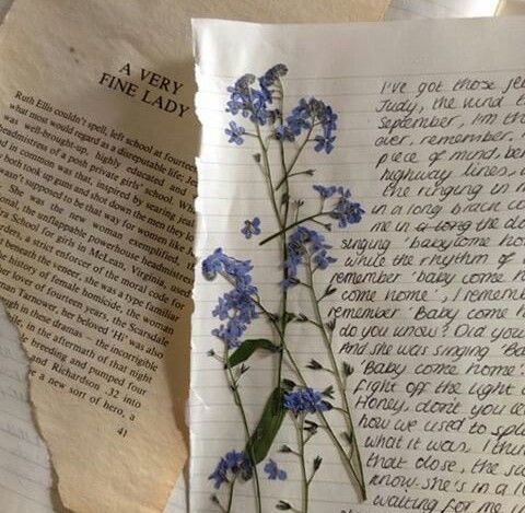 poeticalphotos's tweet image. 