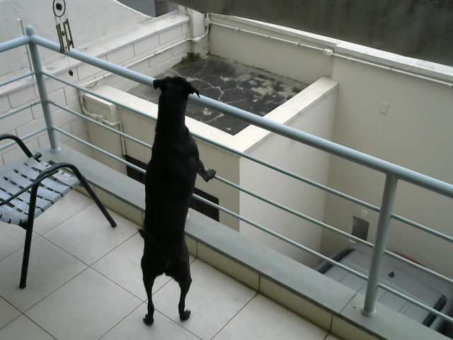 ocaotiao's tweet photo. Olar (16:20:01) https://t.co/D19LB8eQYf