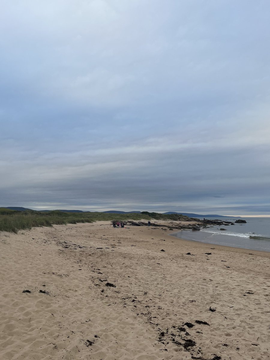 David Morrison tweet media