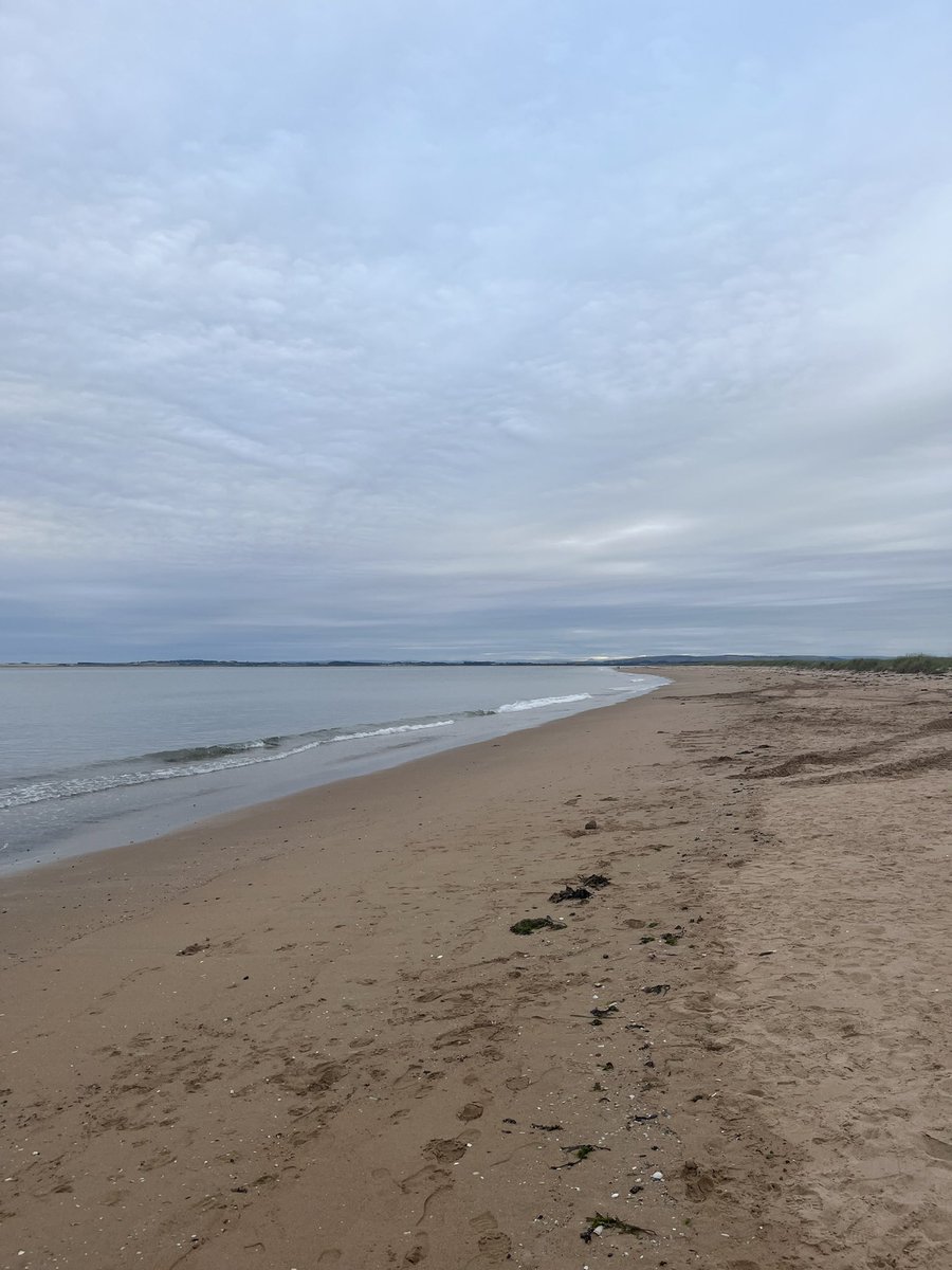 David Morrison tweet media