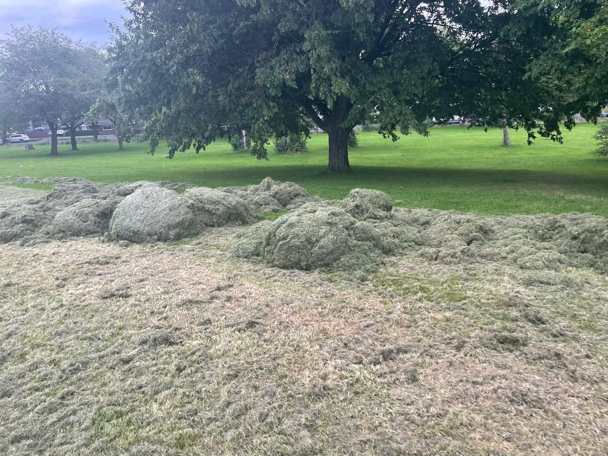 darrenbrady2's tweet photo. @Blackboyfootie @ManCityCouncil @FcBlackboy @MikeKaneMP Hopefully @ManCityCouncil will come and take the cuttings away rather than just drag them back onto the pitch with the tractor. Pitch still needs another cut and lines re marking https://t.co/Ky1ZqVkdbc