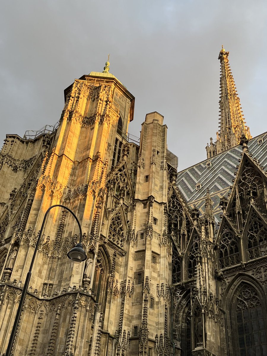 BlueTerra11's tweet photo. Last vestige of evening sunshine in #Vienna https://t.co/uc5gURdBTb