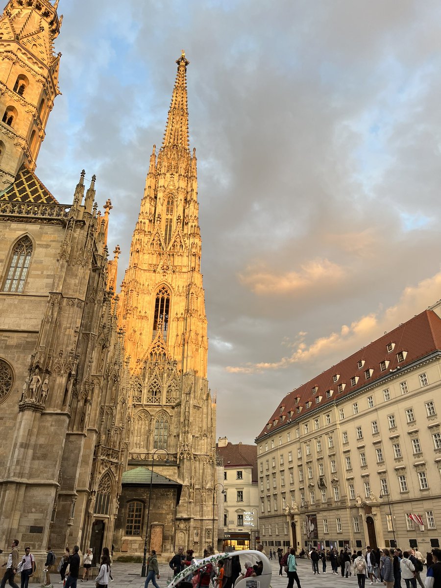 BlueTerra11's tweet photo. Last vestige of evening sunshine in #Vienna https://t.co/uc5gURdBTb