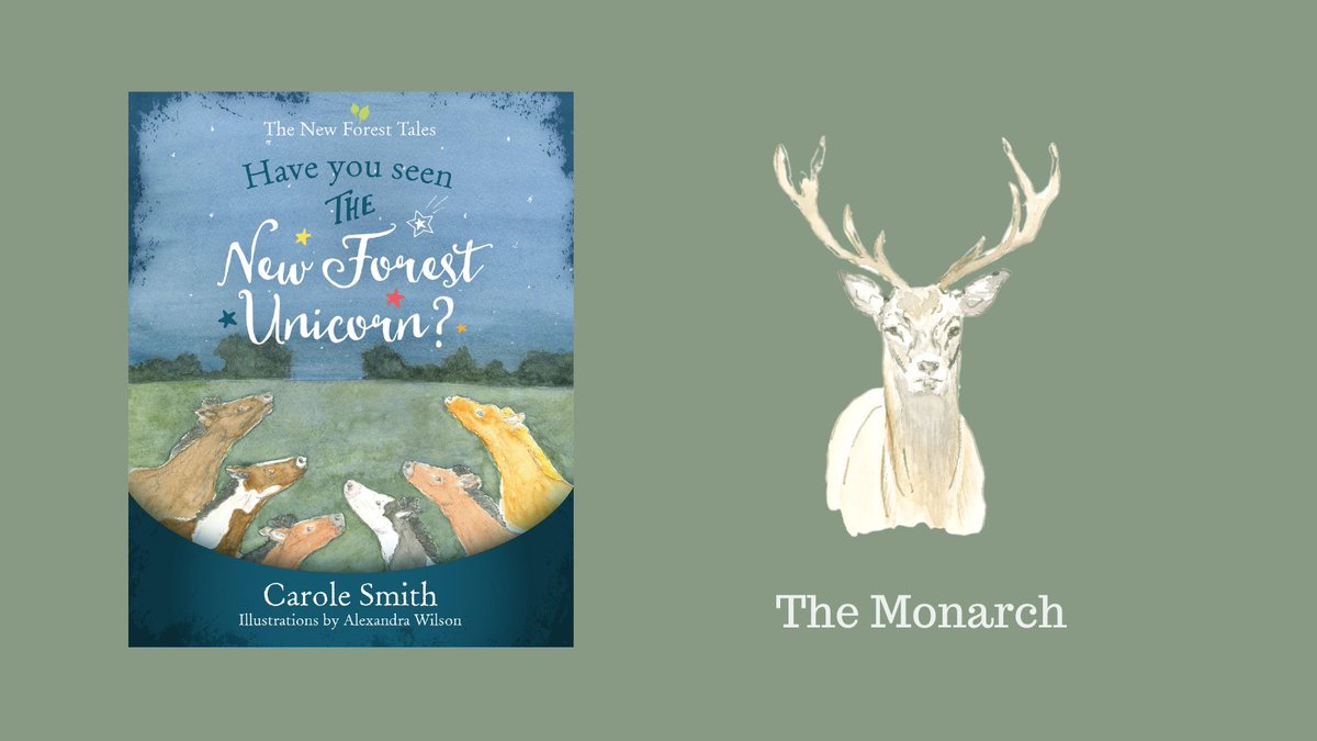 Carole Smith - New Forest Tales tweet media