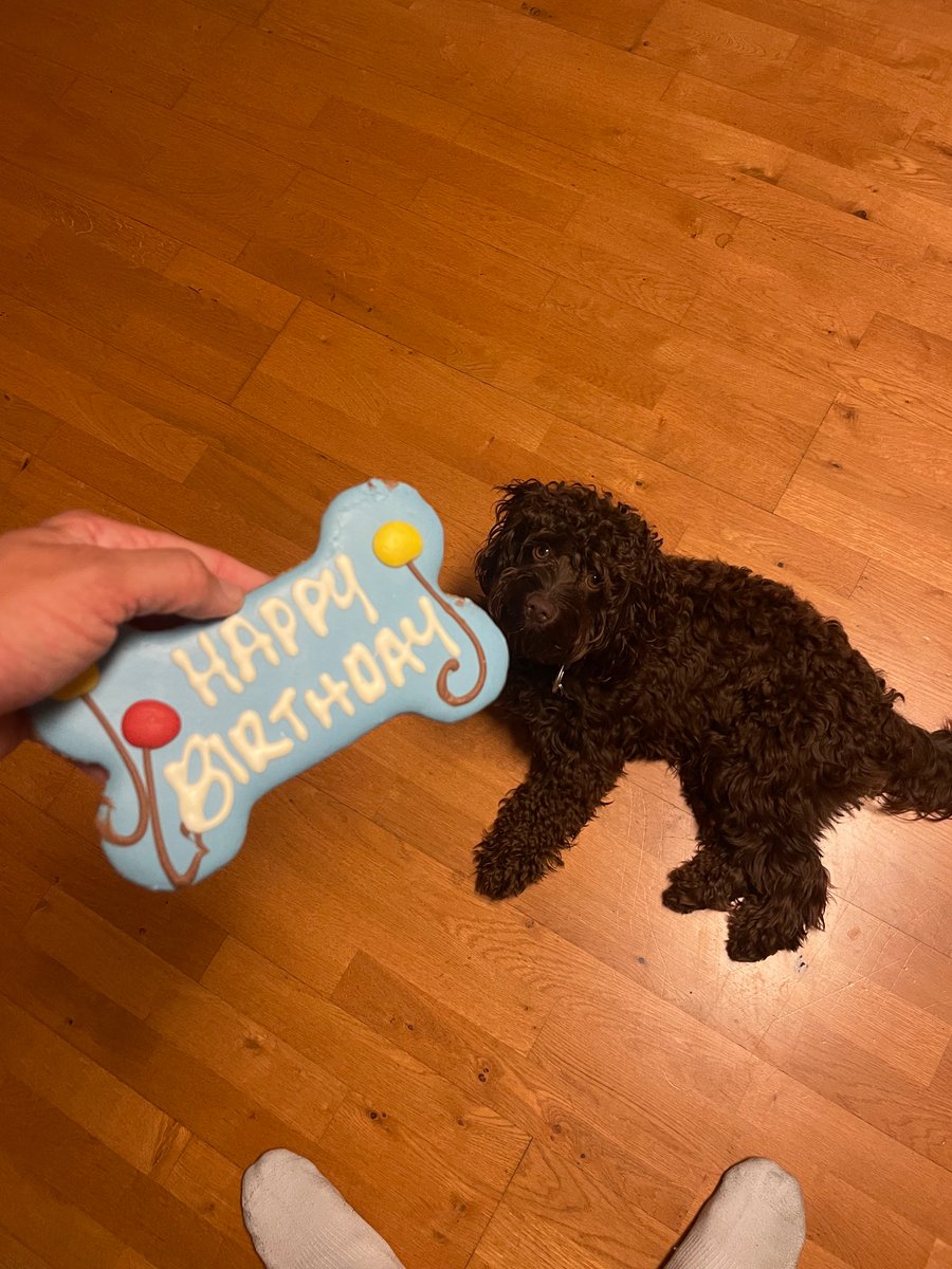 Little dude is 1 year old. Special treats at daycare and at home.