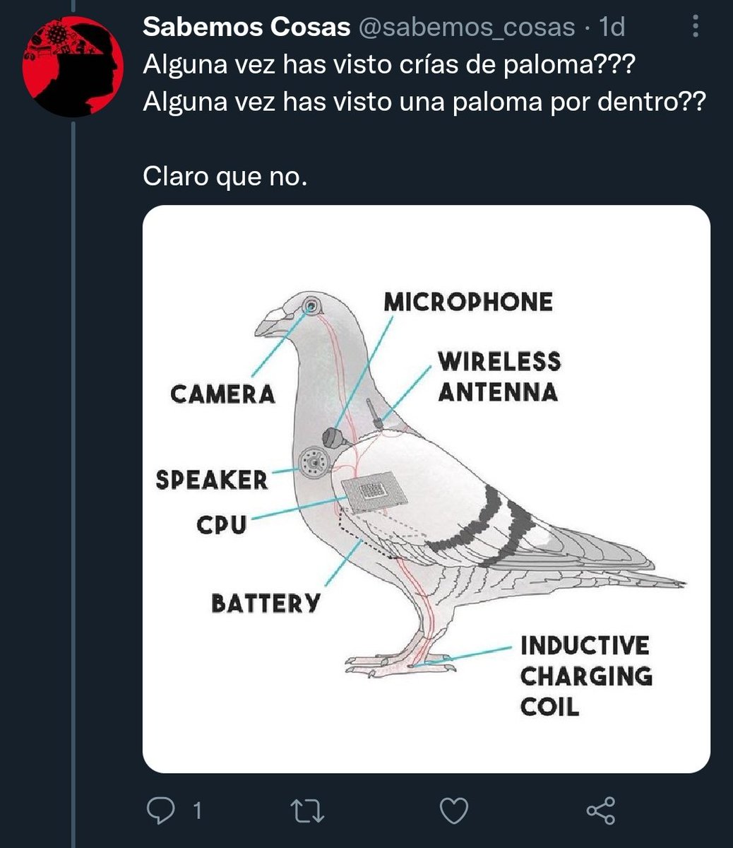 EstoyAvisando's tweet photo. https://t.co/cO8CuVZYn4