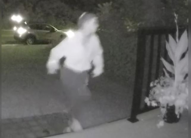 BarriePolice's tweet photo. Do you recognize this planter thief? She stole a planter from an Edgehill Dr. porch on Saturday August 5, 2023 at 2:51am and  left in a light coloured hatchback style car after jumping into the passenger seat. If you can help please call 705-725-7025 ext. 2732. https://t.co/qaXdJWMqQv