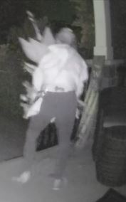 BarriePolice's tweet photo. Do you recognize this planter thief? She stole a planter from an Edgehill Dr. porch on Saturday August 5, 2023 at 2:51am and  left in a light coloured hatchback style car after jumping into the passenger seat. If you can help please call 705-725-7025 ext. 2732. https://t.co/qaXdJWMqQv