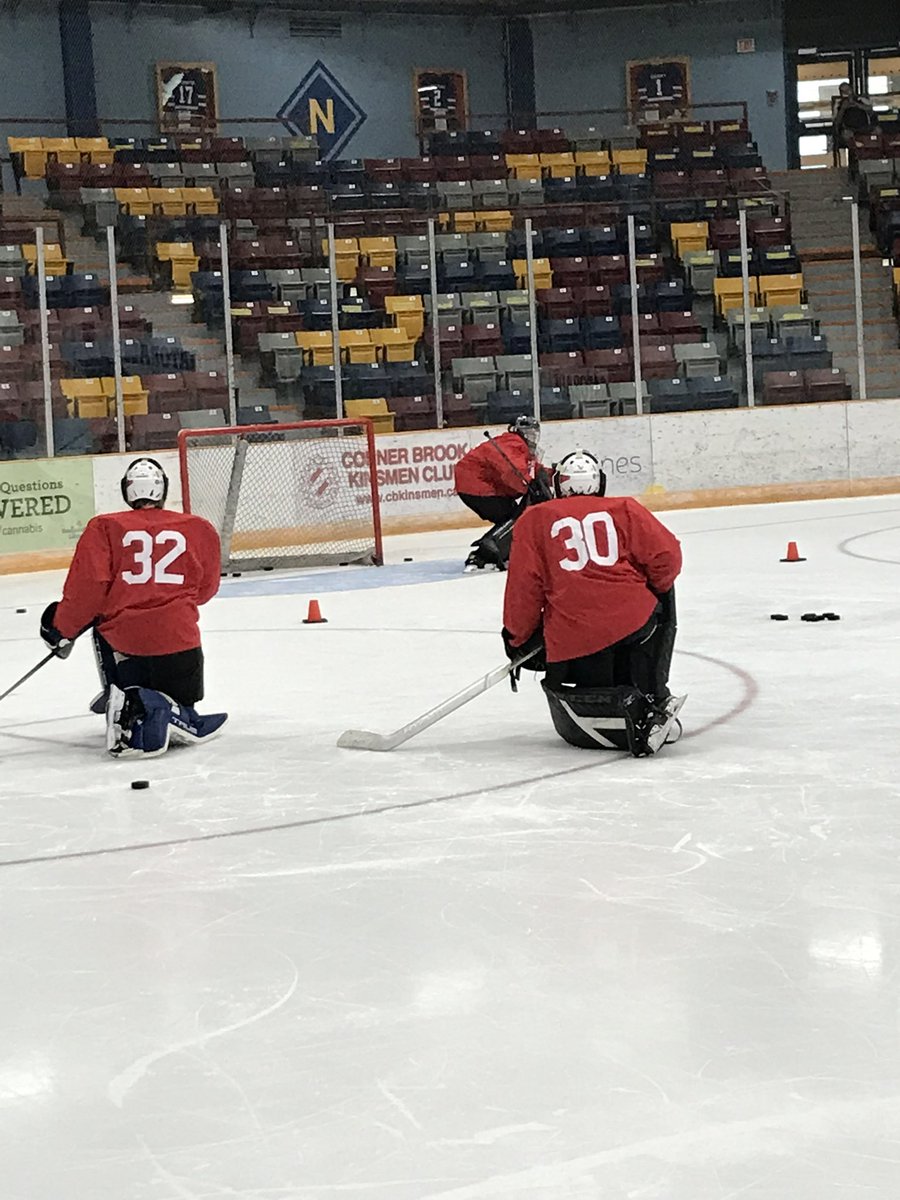 hockeynl1935's tweet photo. U16 goalie session with Coach Mike O’Brien and staff. Lots more hockey to come over the next few days!!! https://t.co/JotbOR9vMg