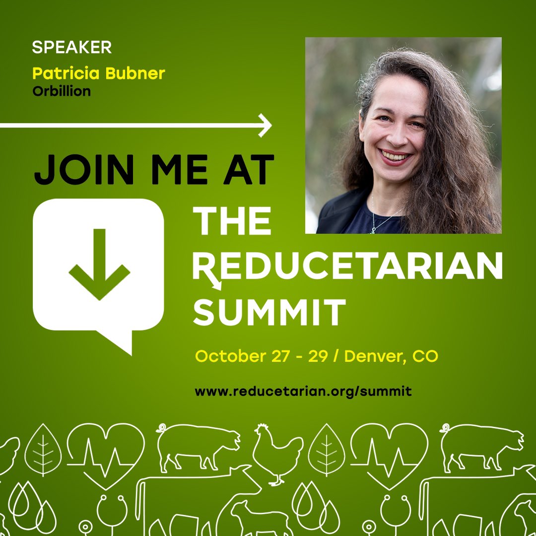 Orbillion tweet media