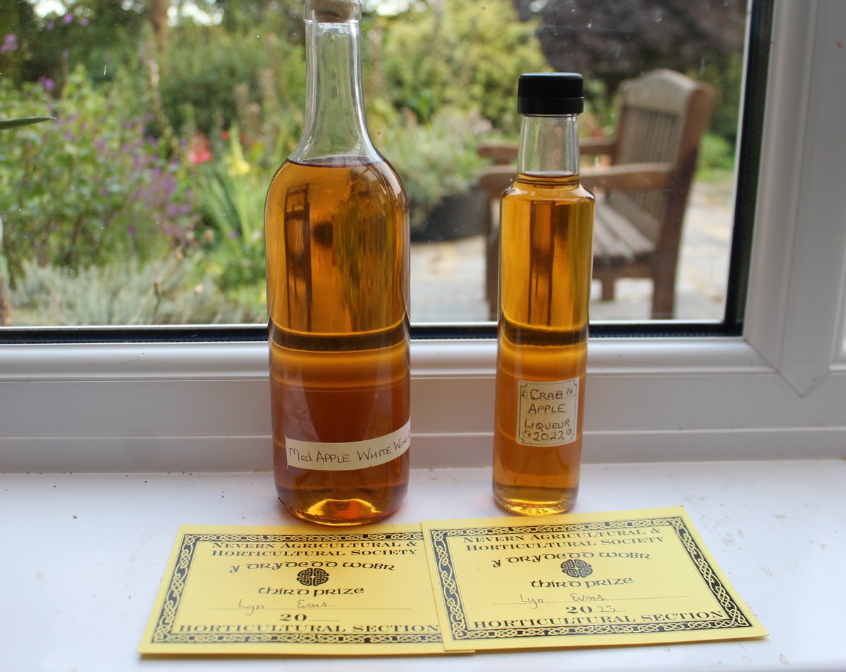emlynevan's tweet photo. I guess third placing in a class of eight in Nevern Show today says they're well drinkable  !😋😋#IechydDa
#applewine #CrabAppleLiqeuer  🍏🍎🍏🍎
 Do me with my chips tonight anyhow 🥃🥃🏴󠁧󠁢󠁷󠁬󠁳󠁿🏴󠁧󠁢󠁷󠁬󠁳󠁿 https://t.co/C8BNV2OJLV