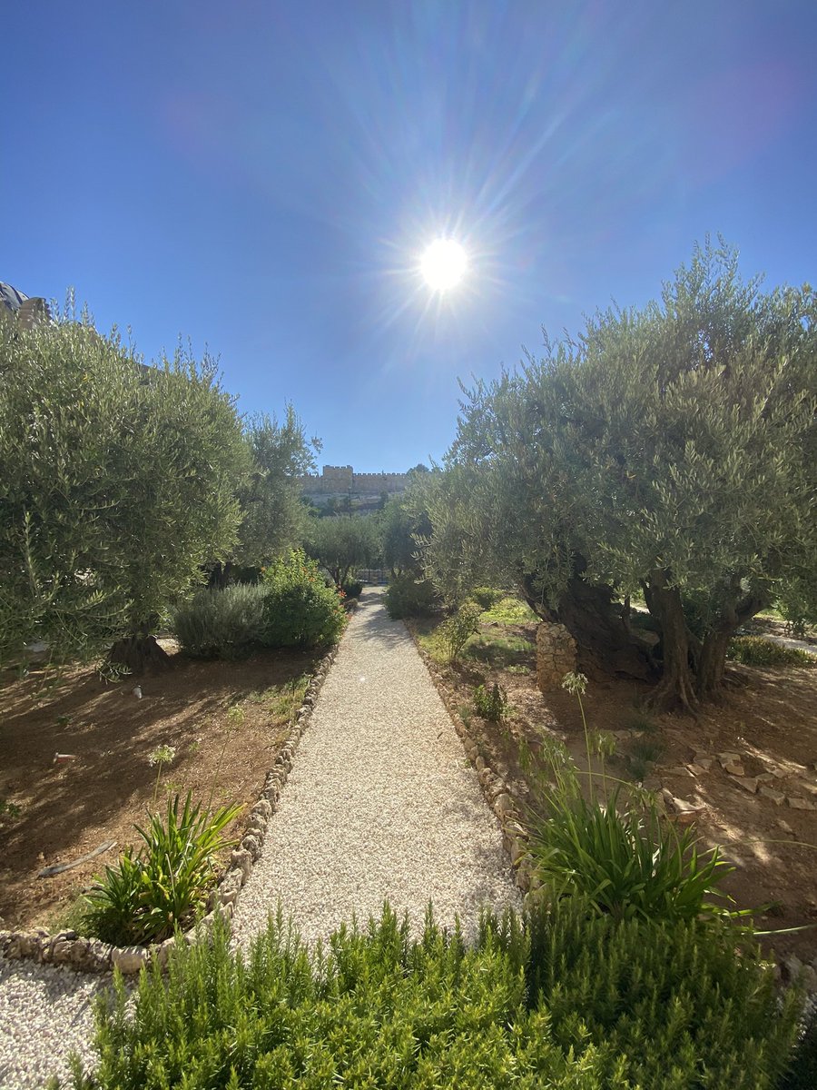 Caryl Mcmillan tweet media