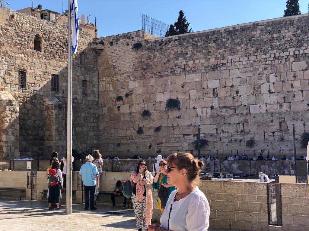 Caryl Mcmillan tweet media