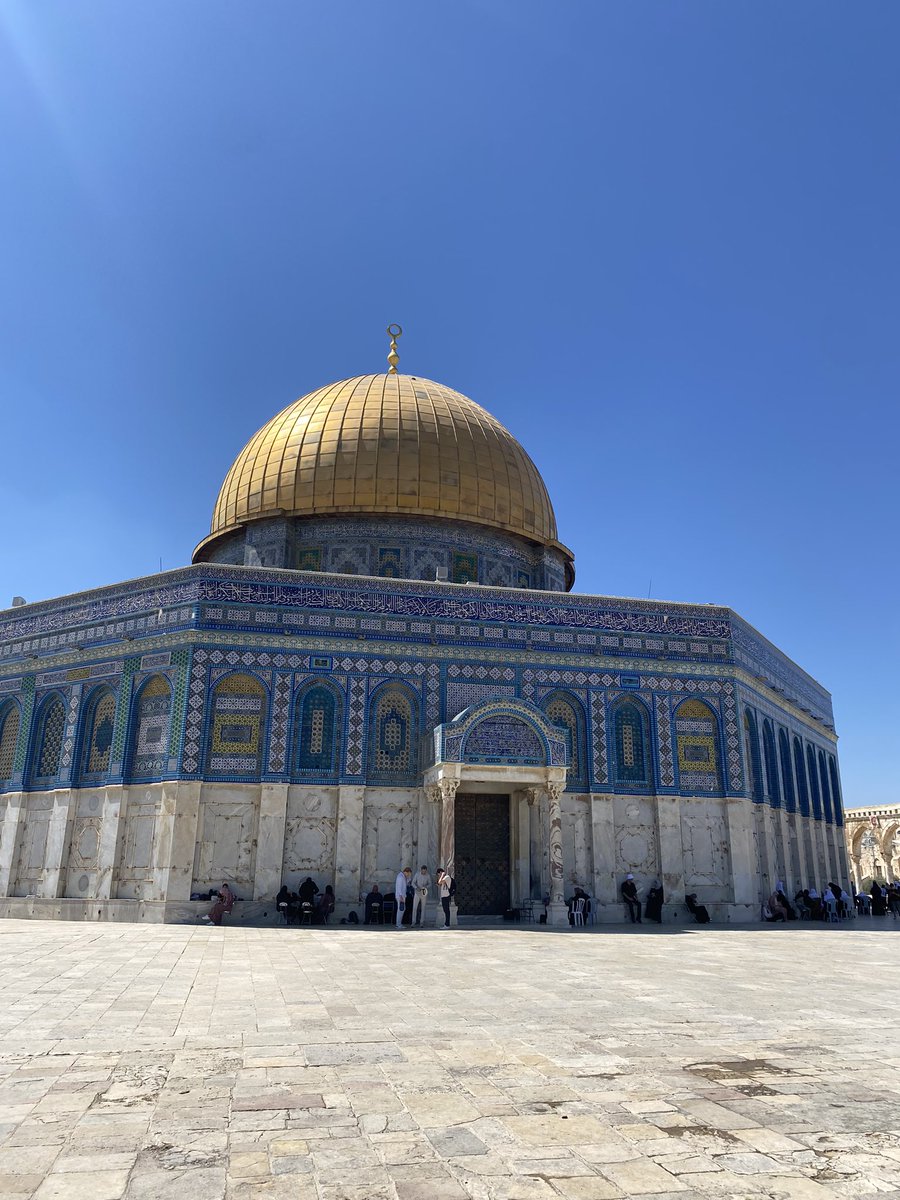 Caryl Mcmillan tweet media