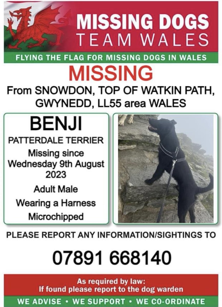 missingdogwales's tweet photo. ❗❗BENJI, MISSING FROM #SNOWDON, TOP OF #WATKINPATH, #GWYNEDD, #LL55 area #WALES ❗❗
❗SINCE WEDNESDAY 9th AUGUST 2023.
❗❗PLEASE LOOK OUT FOR BENJI AND CALL NUMBER WITH ANY SIGHTINGS ❗❗ https://t.co/WTnAkQIAob