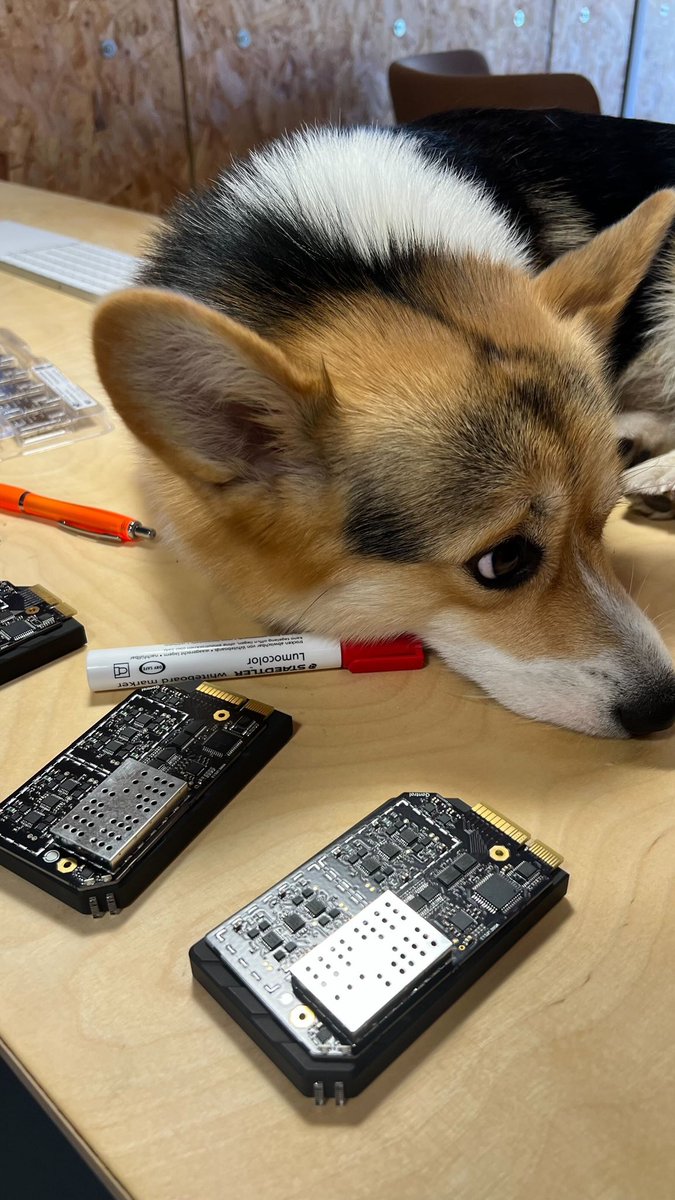 We’ve been a bit quiet on here lately but we want to introduce you to our new employee…