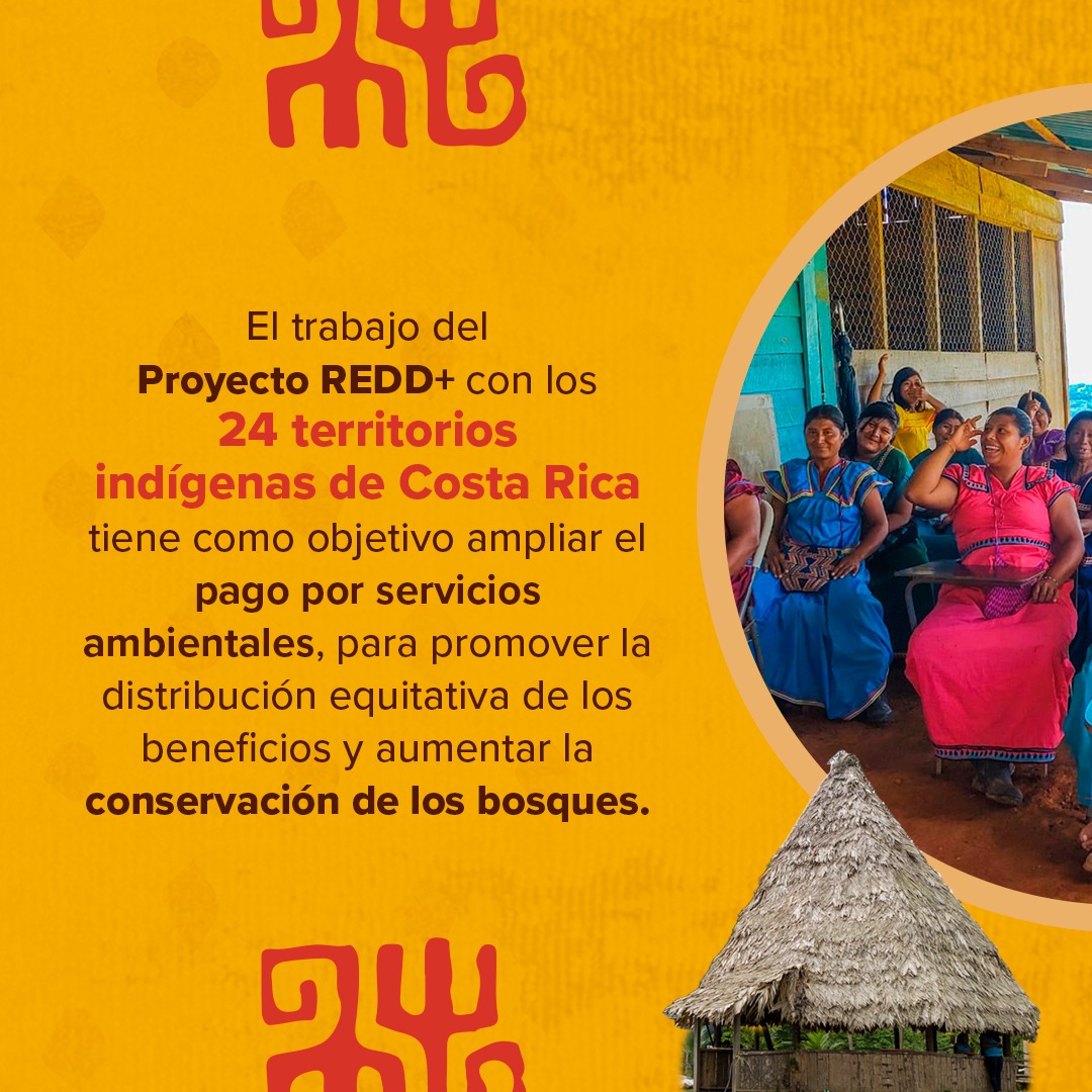 PNUD_CR's tweet photo. En el Día Internacional de los Pueblos Indígenas, conmemoramos los saberes y aportes de los pueblos indígenas para enriquecer la convivencia y visibilizar la diversidad cultural en el país
#DíaInternacionalDeLosPueblosIndígenas
#ProyectoREDD+PBR
#NoDejarANadieAtrás https://t.co/zm42RHC6lj