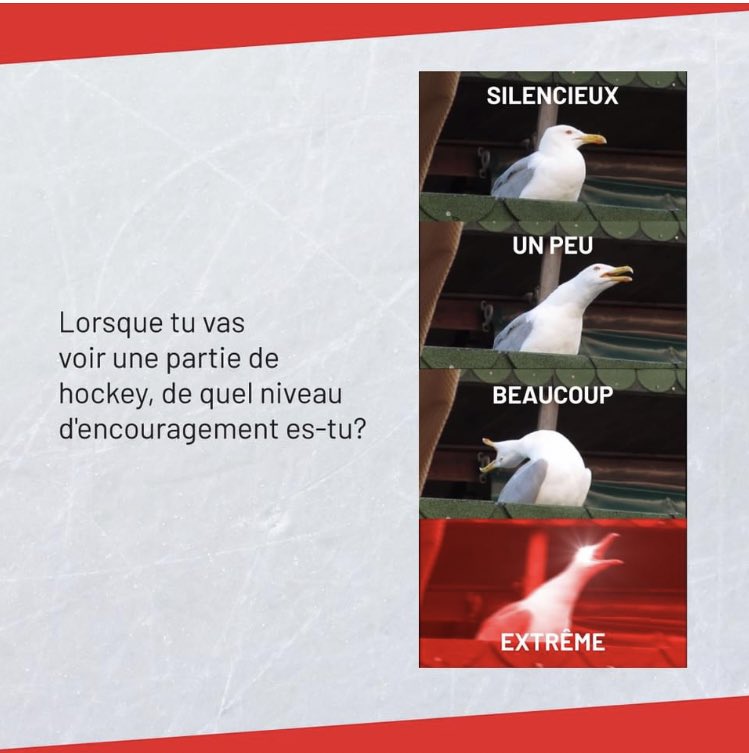 Question du jour 🏒 Lorsque tu voir une parti hockey des olympiques de quelle niveau d’encouragement es-tu 

Silencieux, un peux beaucoup ou extrême? 🔥  Exprime toi dans les commentaires!

Peux importe prépare toi pour une nouvelle saison de hockey 

🎟️ bit.ly/3NOn7eR