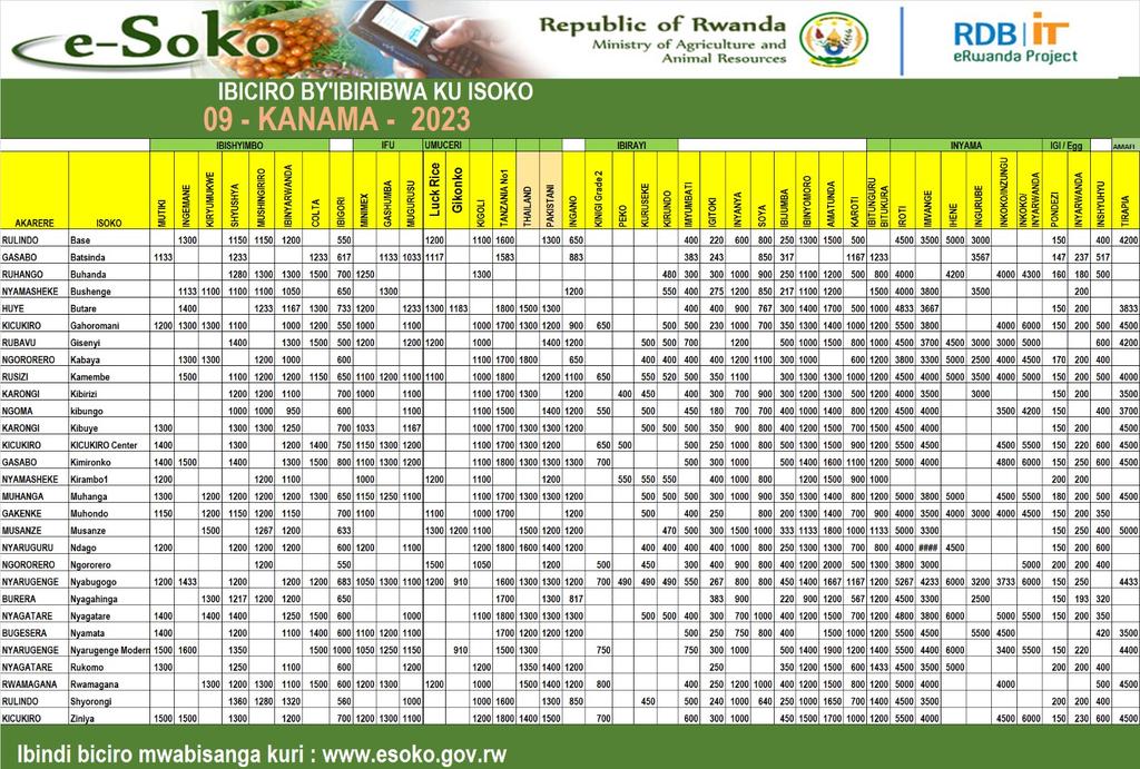 Impuzandengo y'ibiciro by'ibiribwa ku isoko uko byiriwe iyo mbonerahamwe irabigaragaza. Ibigori byaguze mu isoko rys Gisenyi mu Akarere ka Rubavu 500Frw/kg.