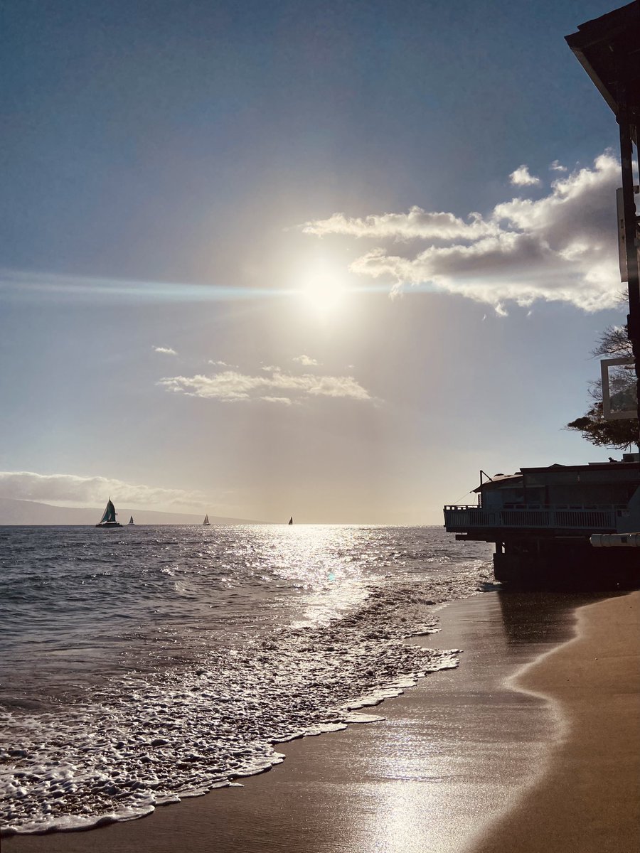 AnneL_1995's tweet photo. My sister and I were in Lahaina a week ago, how devastating 😔 https://t.co/5kUJWX4JGt