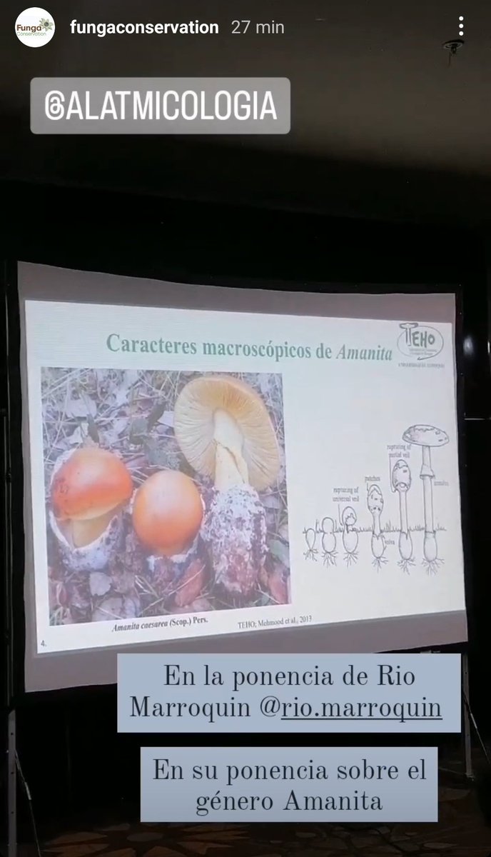 Aramendi_'s tweet photo. 🔎 LAS FOTOGRAFÍAS TIENEN PROPIEDAD🔴
Durante el XI Congreso Latinoamericano de Micología (XI CLAN) que se está celebrando hoy en Panamá, el ponente @riomarroquin está utilizando una fotografía eliminando mi firma de autor y sin permiso en su ponencia. #XICLAN https://t.co/lYtMfy0YpR