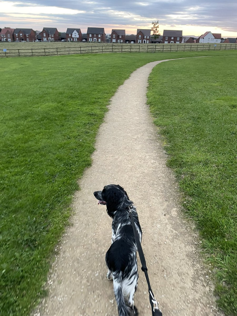 MelanieRitson's tweet photo. What a lovely evening to walk, think, reflect and exercise the pup as the sun sets on another day 🌖 #timetomyself https://t.co/ihLCZ9fbF6