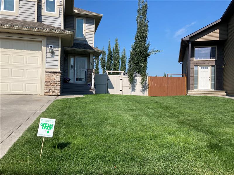 Green Drop tweet media