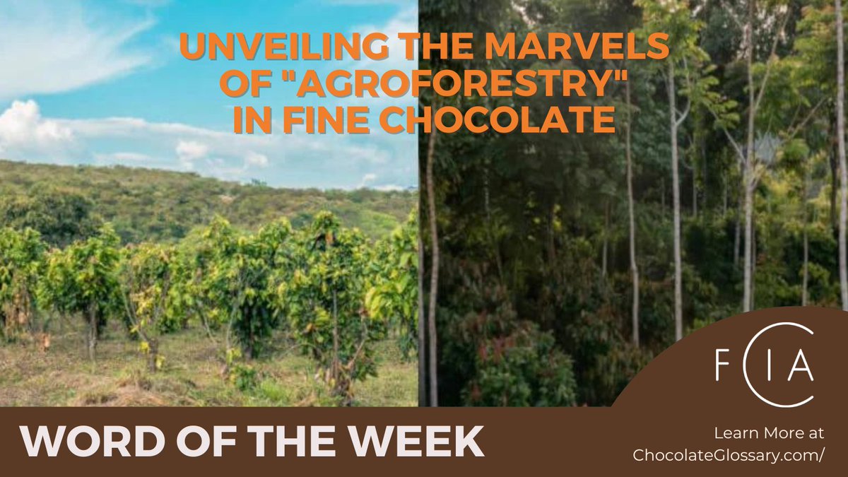Why do farmers embrace agroforestry? To rejuvenate depleted soils, secure their food sources, diversify incomes, and even take part in certification and payment for ecosystem services programs. Learn more at the FCIA's Chocolate Glossary: bit.ly/cacao-agrofore…