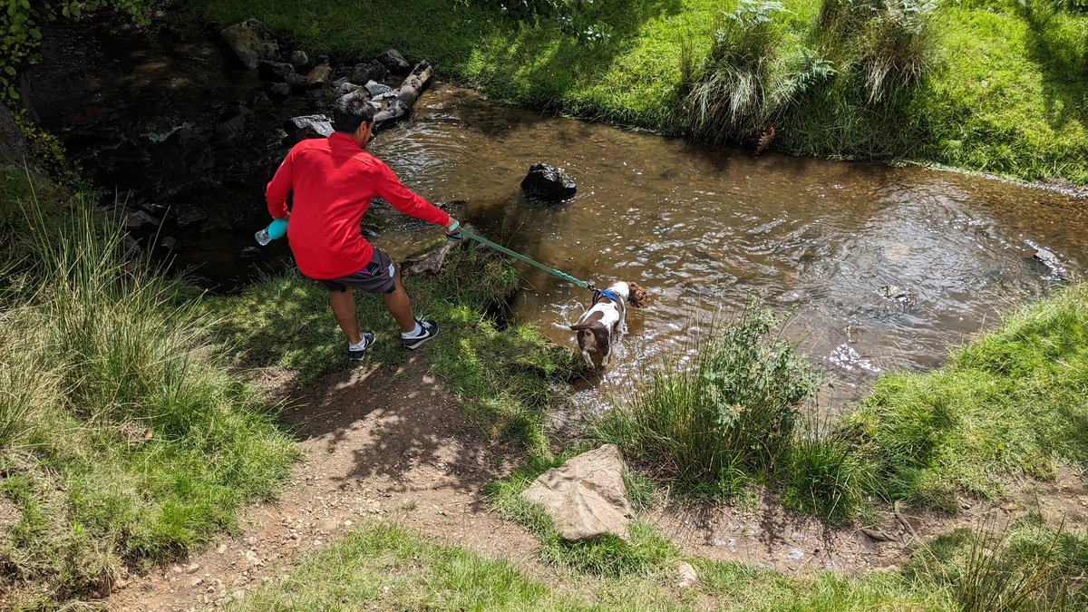 Molly Bridger tweet media