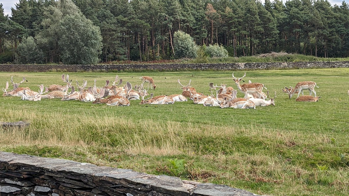 Molly Bridger tweet media