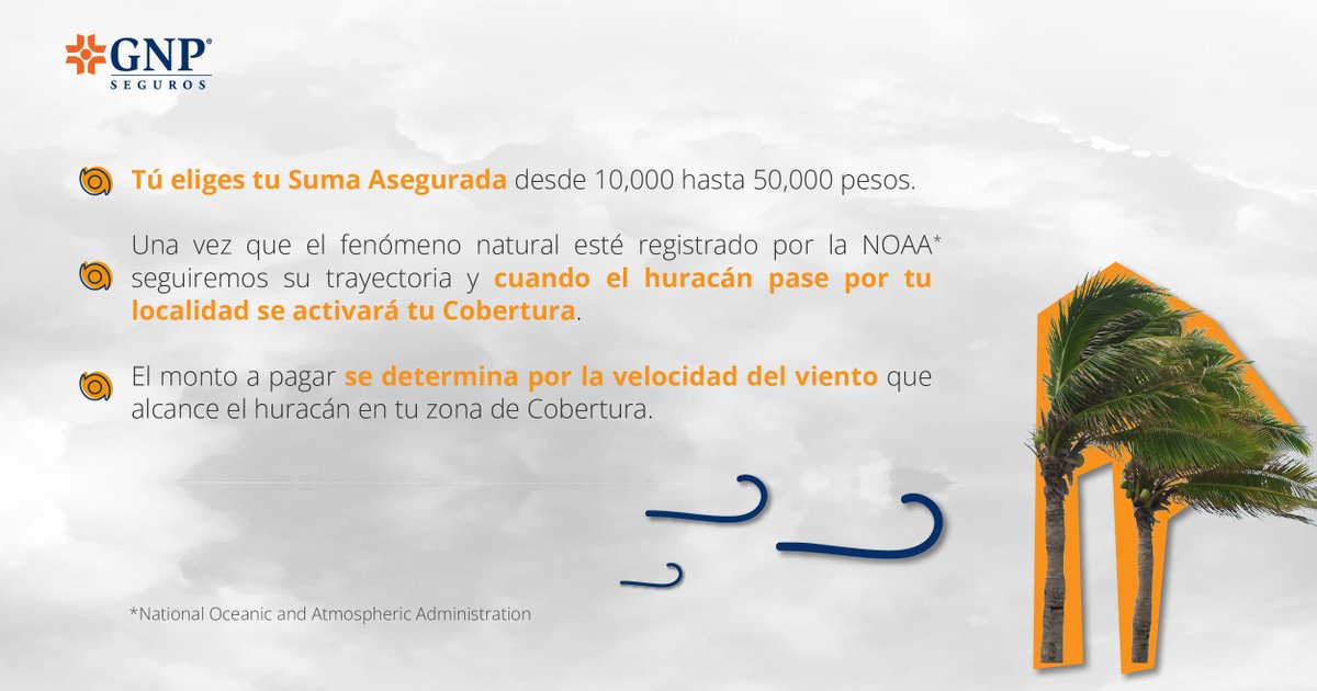 GNPSeguros tweet picture