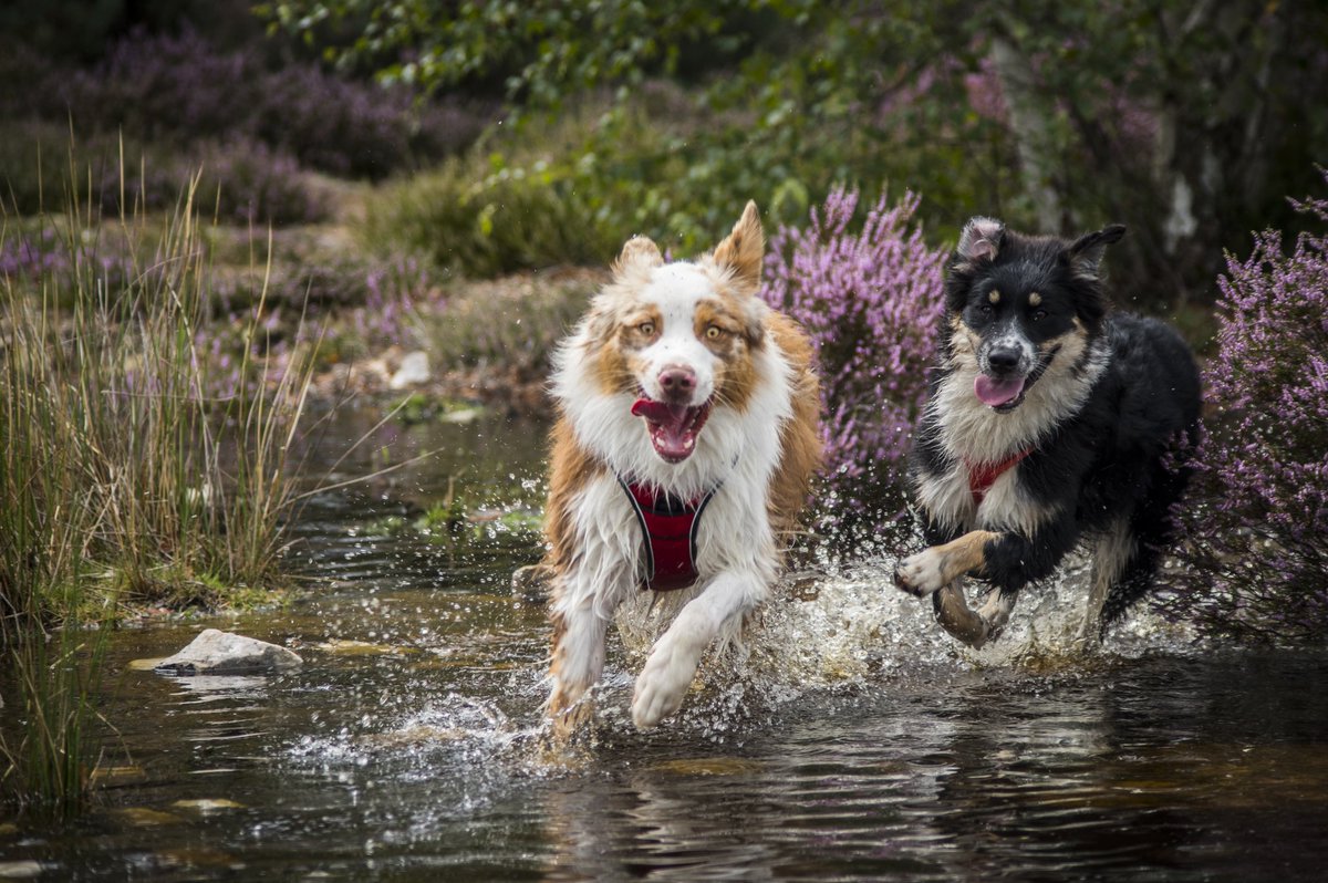 Phot_Aurelien tweet media