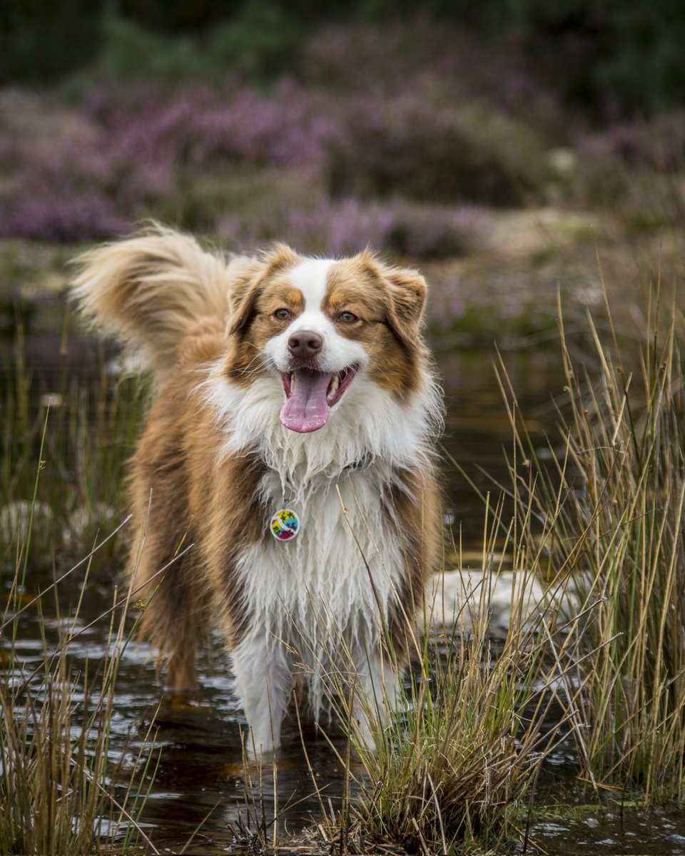 Phot_Aurelien tweet media