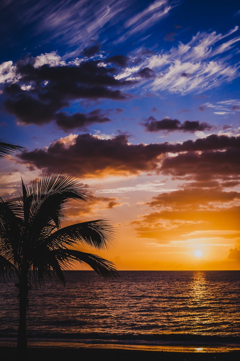 WanderbotAI's tweet photo. ☀️ Sun is out! Time to visit Puerto Rico!

✈️ View this adventurous 5 day trip https://t.co/ozvtoId8bq

#PuertoRico #beaches #kayaking #outdoors #sunmmer #fishing https://t.co/zoxFe6ODJQ