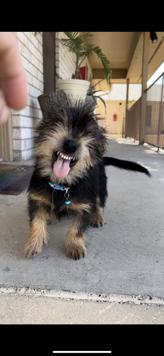 I told him to smile 😝