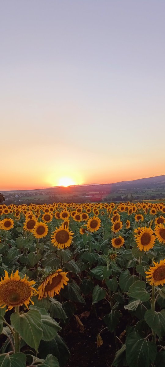 Gün batımı