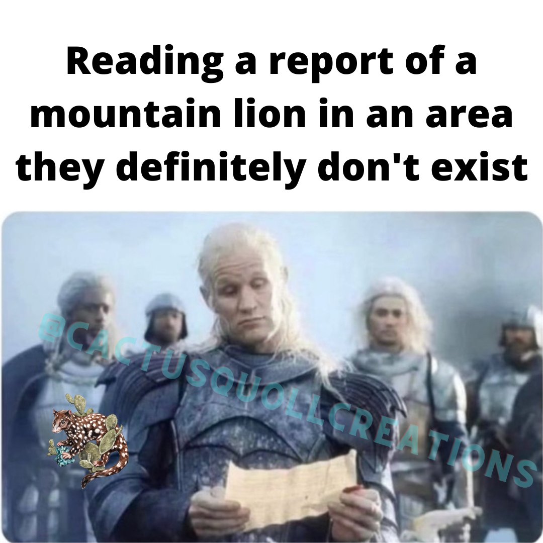 Gael Sanchez (she/her) (@cactusquoll) on Twitter photo 