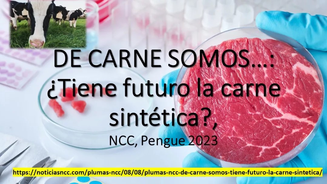 noticiasncc.com/plumas-ncc/08/…