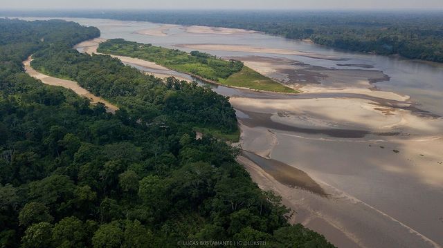 🧵Yasuní is a biodiverse &amp; cultural treasure in the Ecuadorian Amazon that we must protect for the future of our planet. August 20 will mark a historic moment for #ClimateJustice &amp; the end of fossil fuels. Ecuadorians will vote to keep the oil in the soil!
sialyasuni.com/en/home/