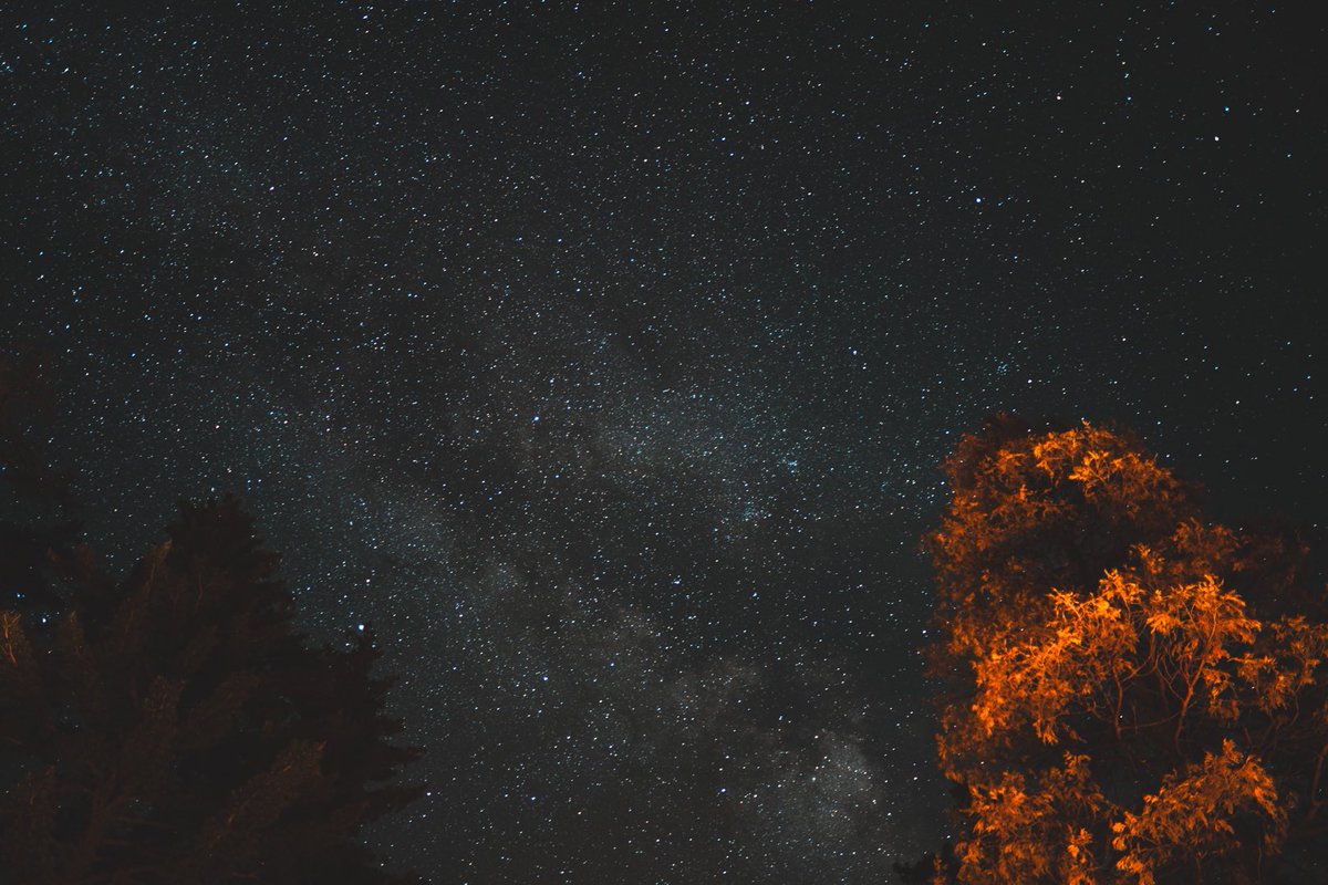beanbriz's tweet photo. Spent last month amongst the trees 

 Should I start selling prints on my website? 
#landscapes #starscapes https://t.co/77g2MU58He
