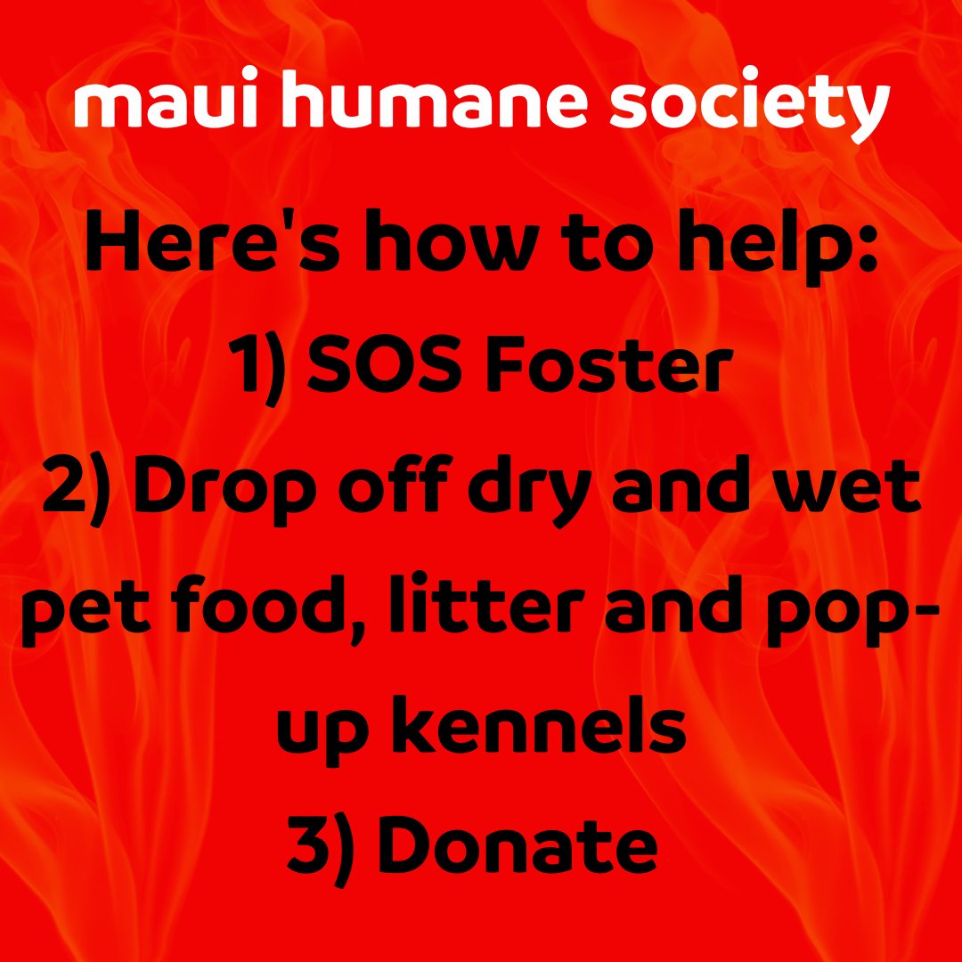 HERE'S HOW YOU CAN HELP 1) SOS Foster-We need to get animals OUT of the shelter to make space! 2) Drop off pet supplies (Food, litter and pop-up kennels)-These will be handed out to the community 3) Donate-so we can continue to perform lifesaving medical procedures #hurricanedora