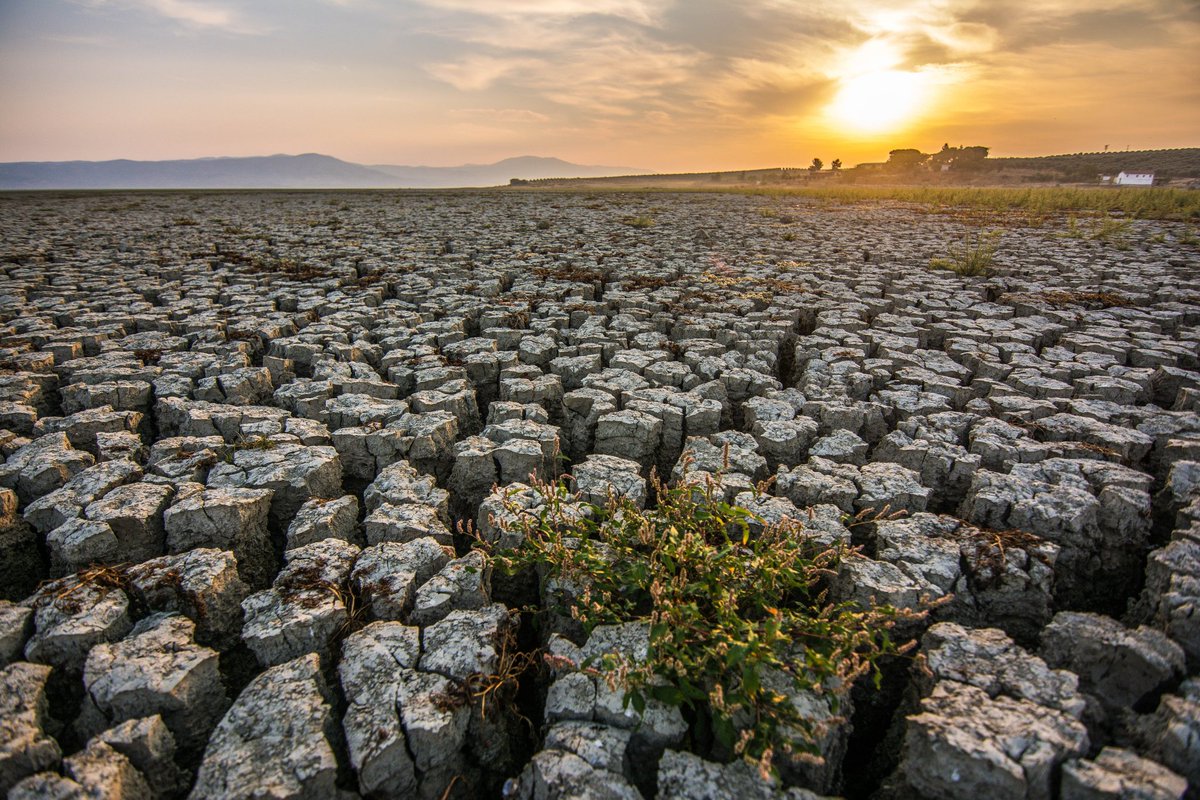 Son zamanlarda Gölmarmara #iklim #kuraklık #çevre #felaket #susuzluk