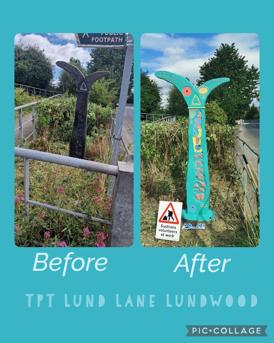 North East Area Team tweet media