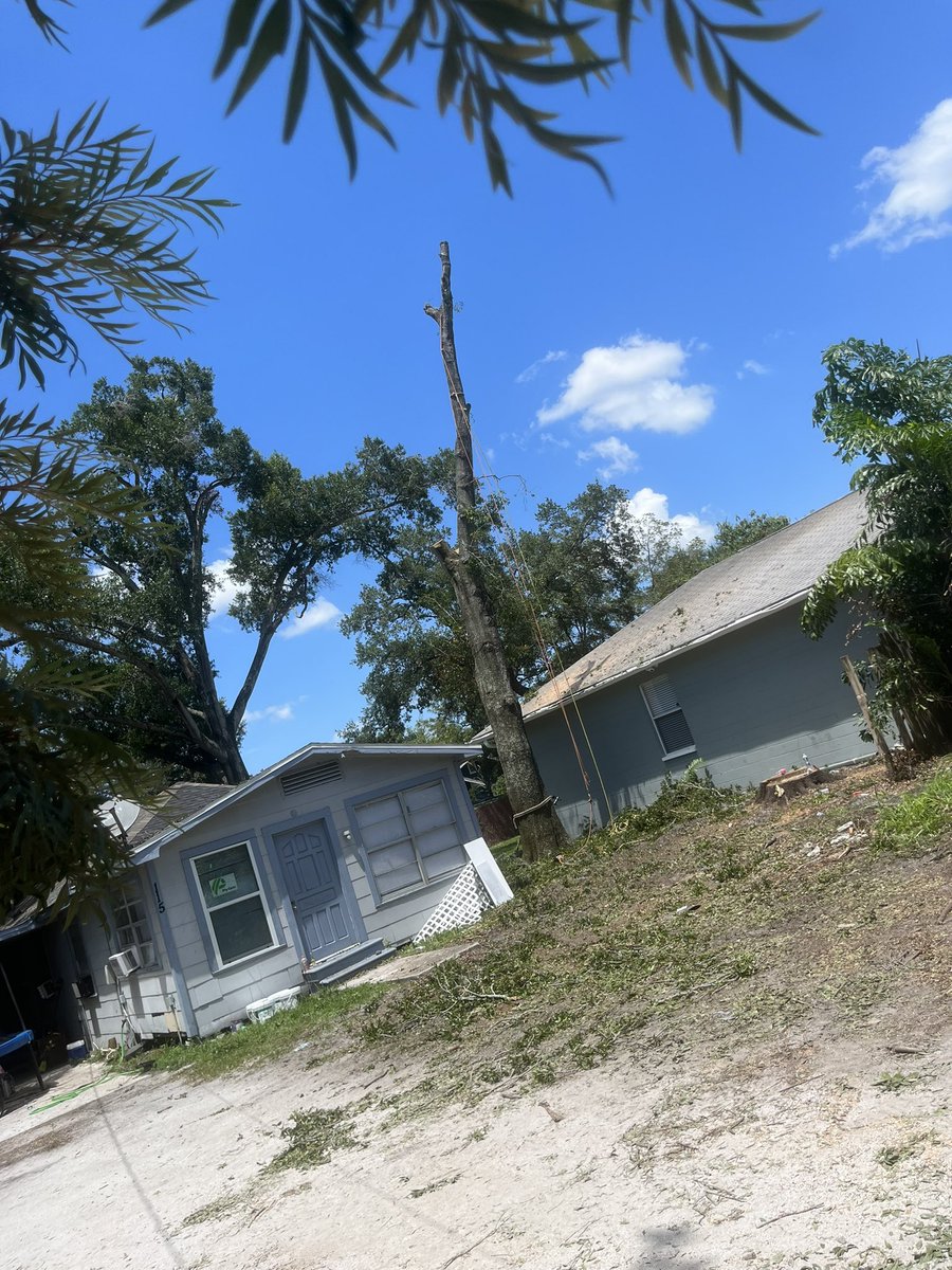 BLasTeZy's tweet image. how it’s done 🤝‼️ headed home now. How tall u think the stalk was that I dropped !!? #treework