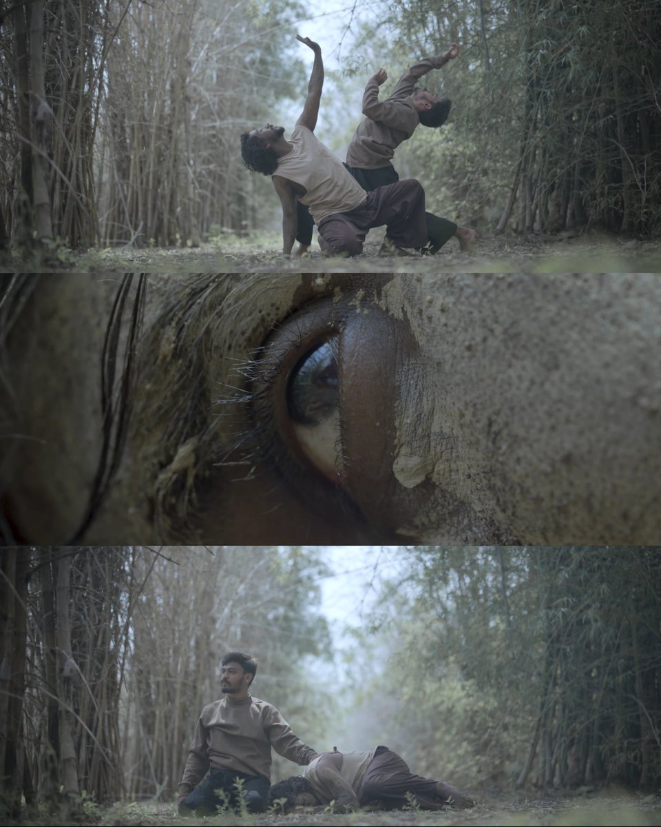 achyuth_b_s's tweet photo. Here are few screengrabs from our LIFE🌱

Click on the link: https://t.co/IVoFZJYQjf
to watch our LIFE🌱

#KalapremiProductions #LIFE🌱 #Musical #Dance #Film https://t.co/yEXcIMB0Zo