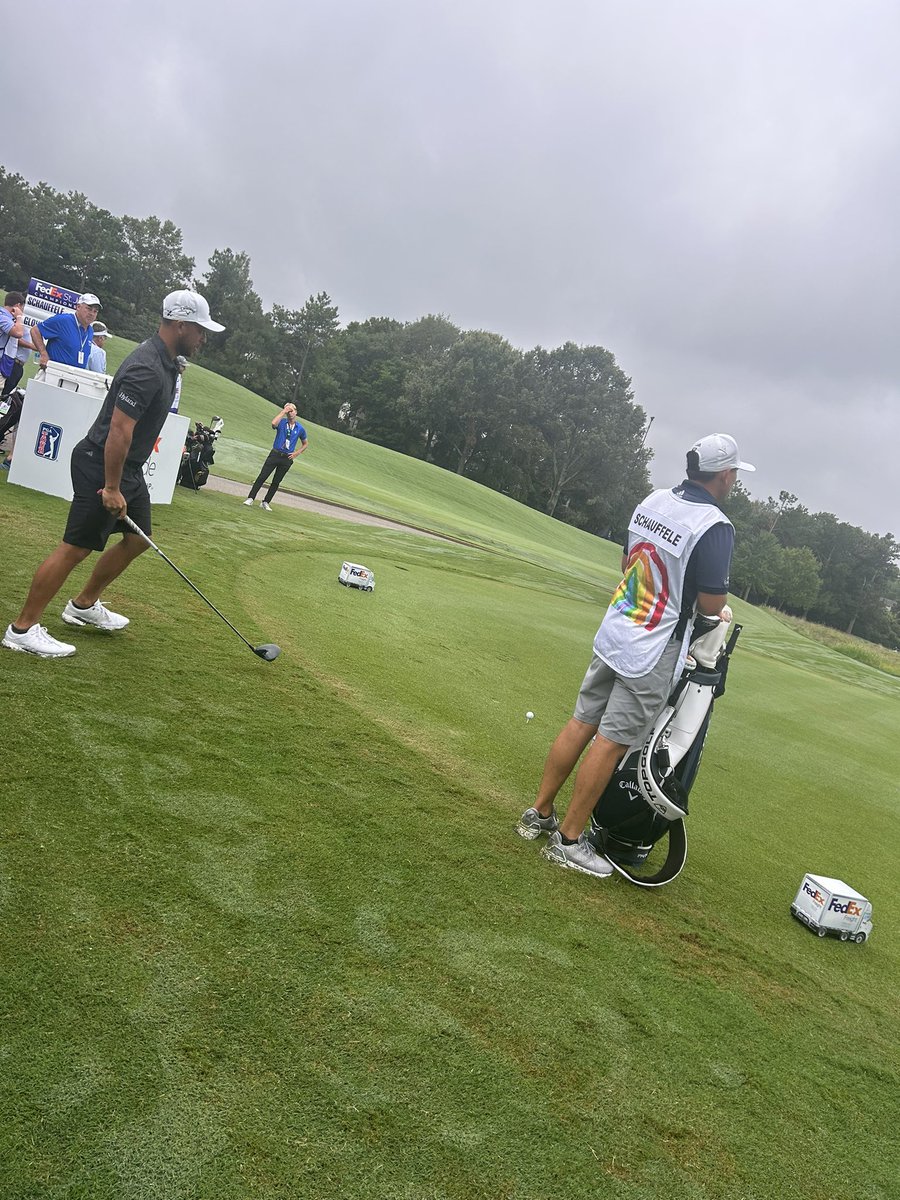 TheTinaRodgers's tweet photo. We saw them all today on 1tee. https://t.co/8rWbFGhYh4
