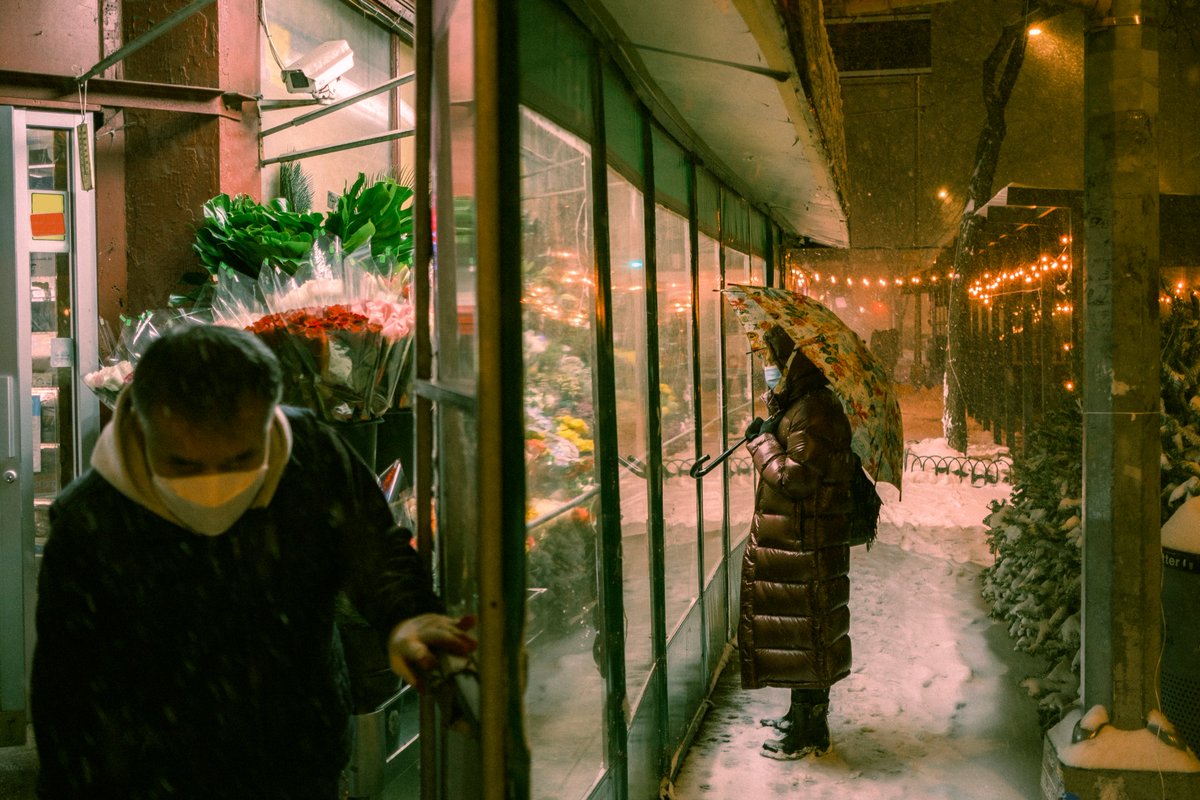 FUJIFILM X/GFX USA tweet media