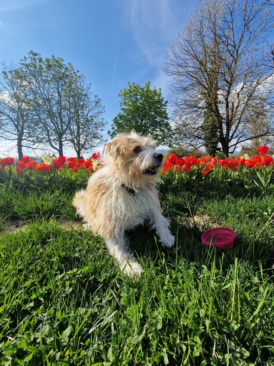 Muky 🍰 tweet media