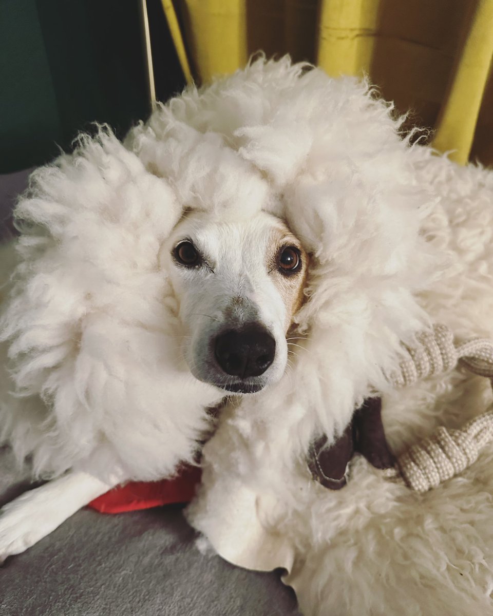 Kate Tallman tweet media